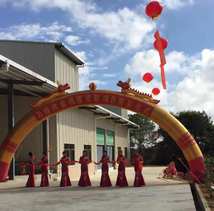 全国第一条金线莲提取生产线投产剪彩仪式